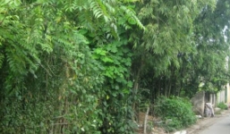 Bác lừa cháu đi phá thai rồi ép làm nô lệ tình dục?